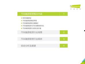 国产51页,揭秘中国科技发展的新篇章