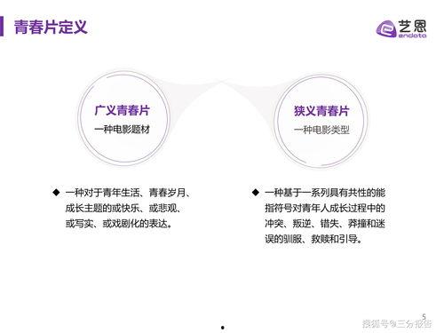 国产39页,揭秘我国科技发展的新篇章